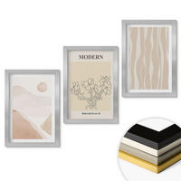 WANDBILDER 3er Set - 20x30 cm Silberner Rahmen - Abstrakte Formen und Farben - Silberfarben, Kunststoff (20/30cm) - ArtPrintCave