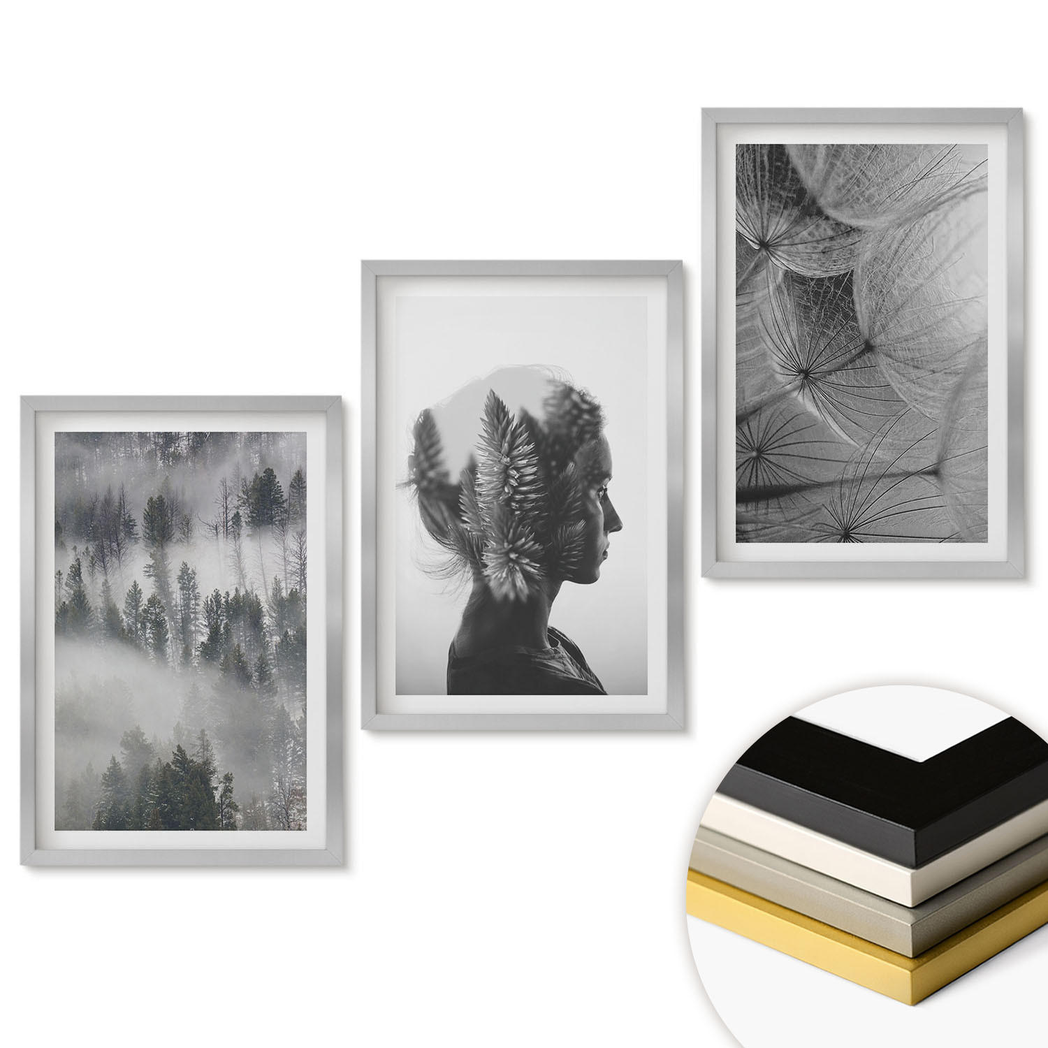 WANDBILDER 3er Set - 40x60 cm Silberner Rahmen - Waldnebelporträt Baum Löwenzahn - Silberfarben, Kunststoff (40/60cm) - ArtPrintCave