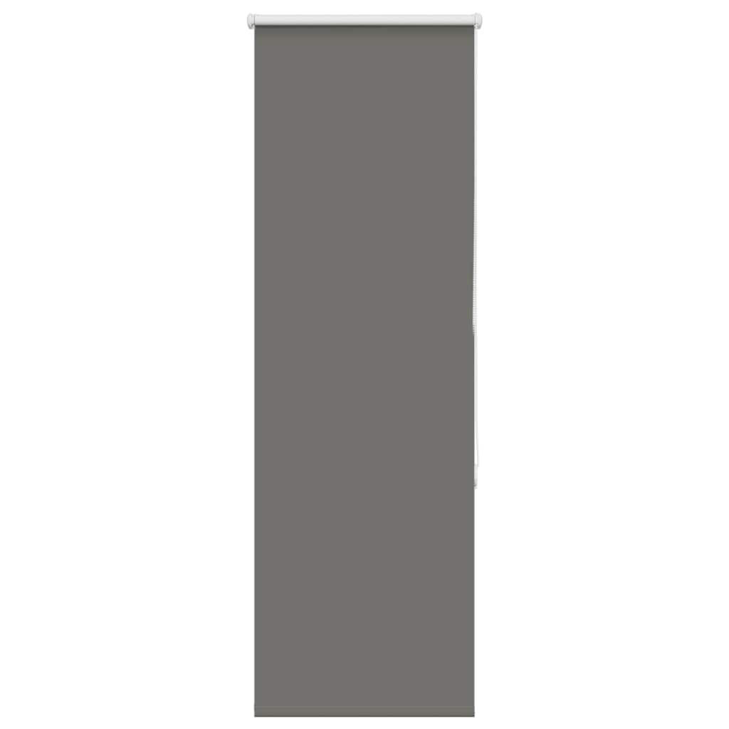 vidaXL Verdunkelungsrollo Hellgrau 40x130 cm