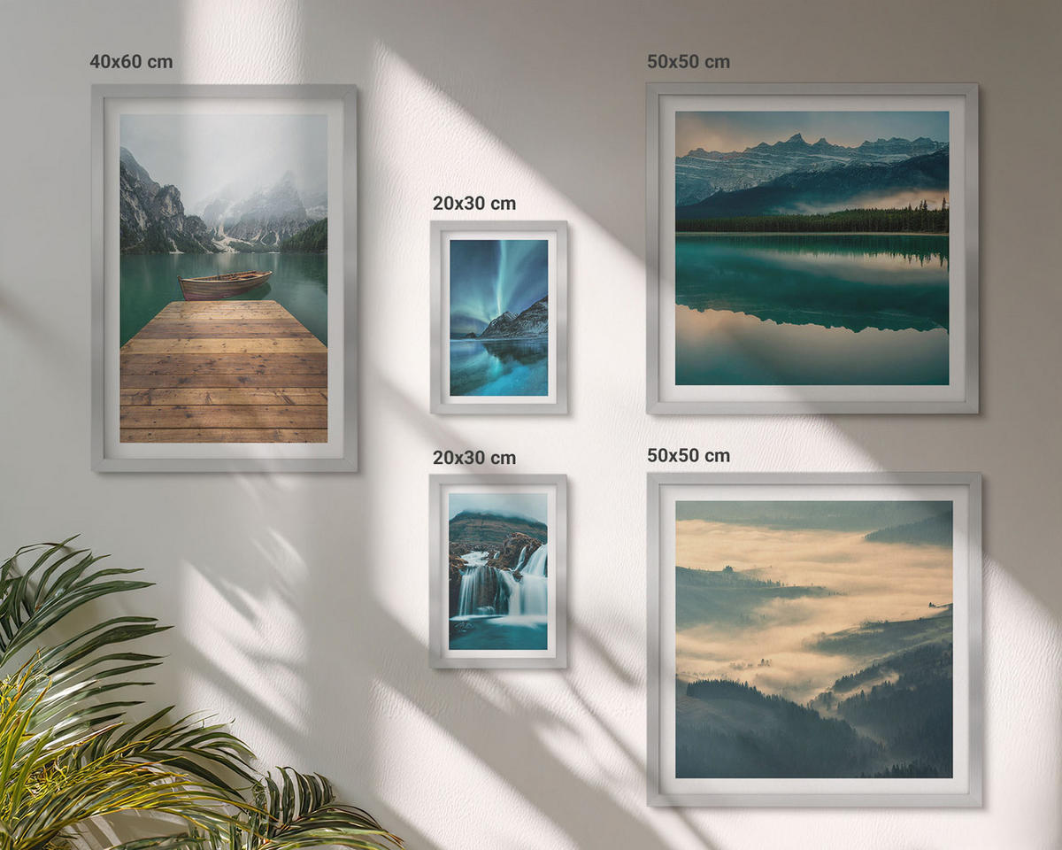 BILDER SET 5er Set - 50x50 cm & 20x30 cm & 40x60 cm Silberner Rahmen - Abstrakte Monstera-Palmenblätter - Silberfarben, Kunststoff (40/60cm) - TULUP
