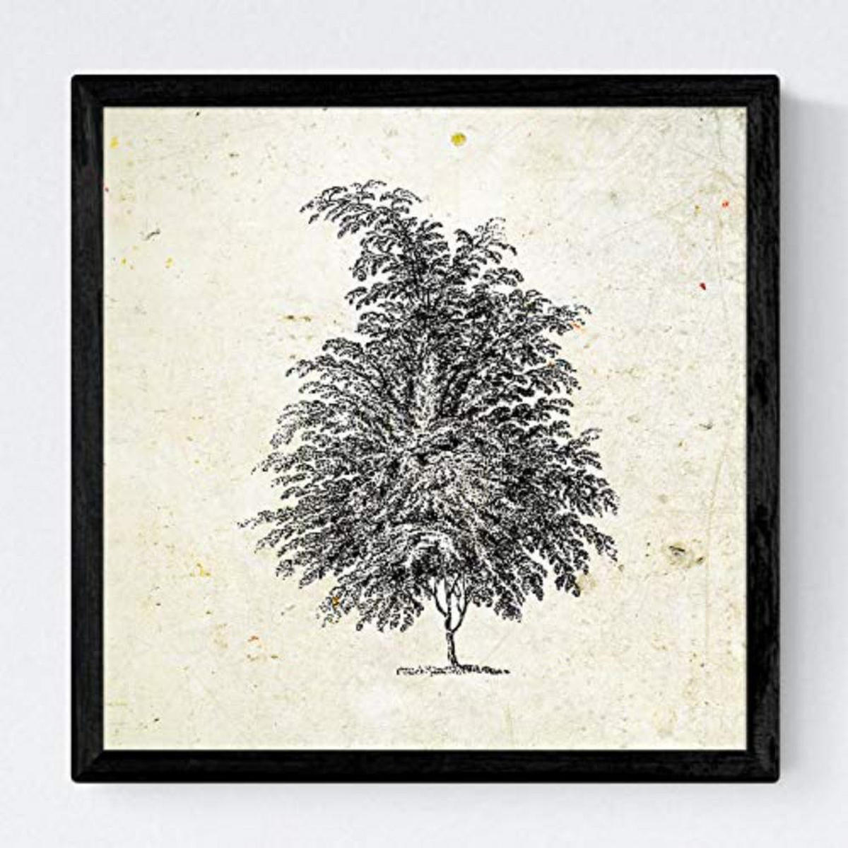 POSTER Set mit 4 Blättern der Bäume Sehr fondosos Jahrgang Hintergrund 20x20cm Rahmenlos - Klar, Papier (20/3cm) - Nacnic