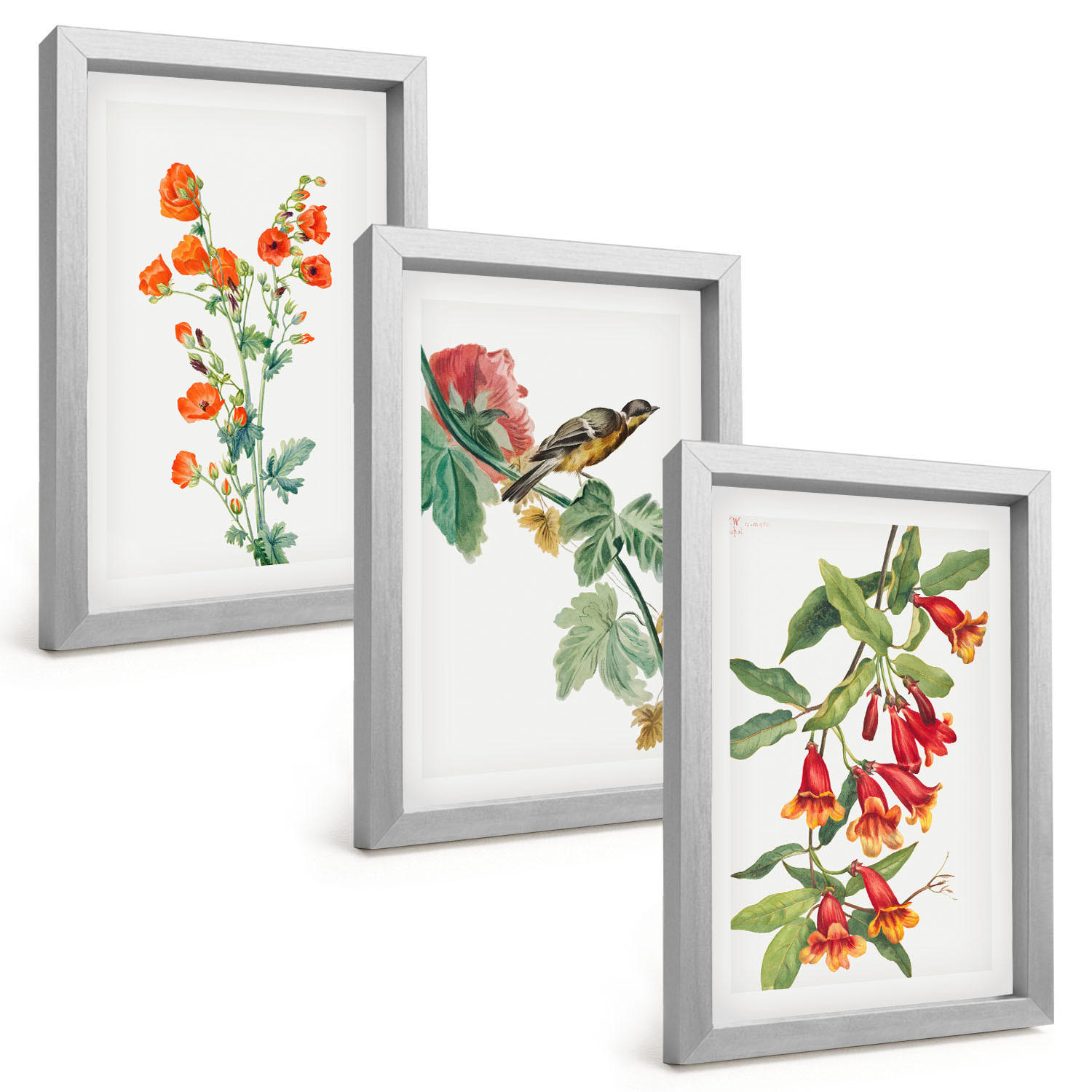 BILDER SET 3er Set - 20x30 cm Silberner Rahmen - Gemalte Blumen und ein Vogel - Silberfarben, Kunststoff (20/30cm) - TULUP