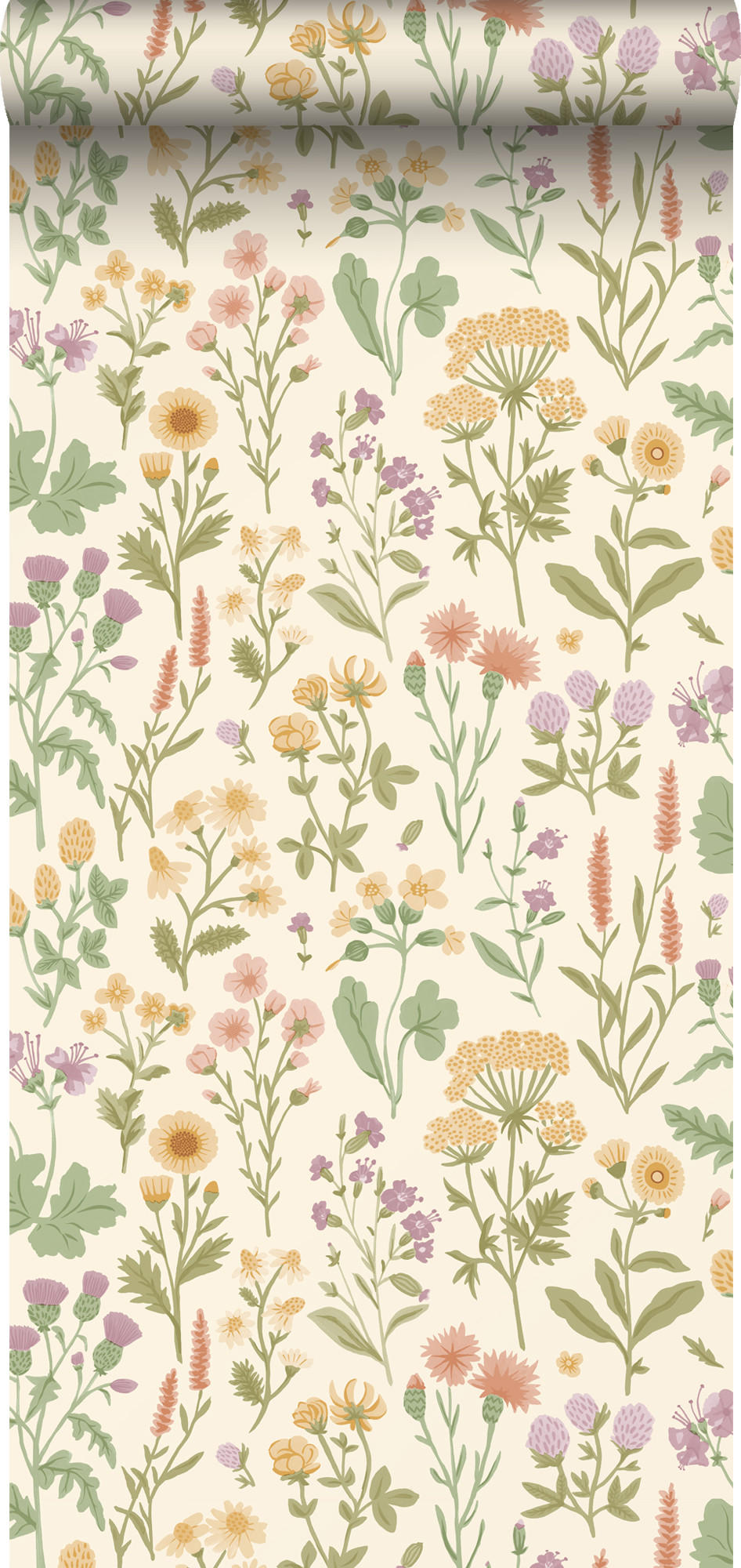 TAPETE Feldblumen 50 x 900 cm - Gelb, Papier (50/900cm) - Sanders & Sanders