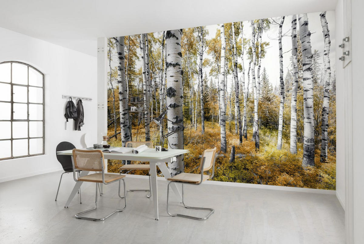 FOTOTAPETE Wald 450 x 280 cm - Gelb, Papier (450/280cm) - Sanders & Sanders