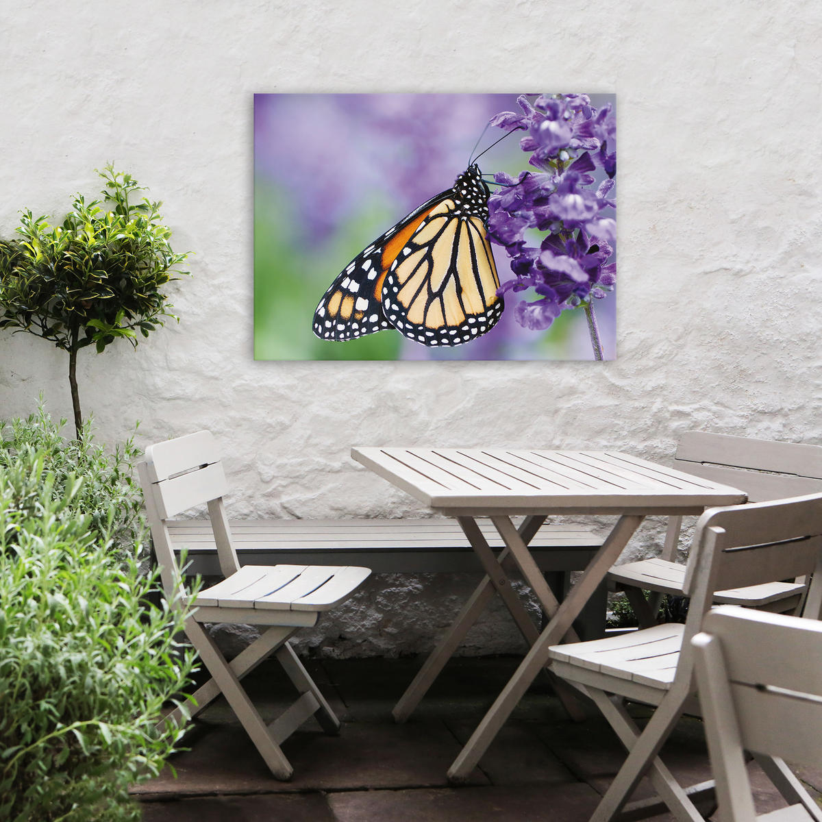 LEINWANDBILD Schmetterling 50x70cm - Multicolor, Kunststoff (70/1cm) - Art for the Home