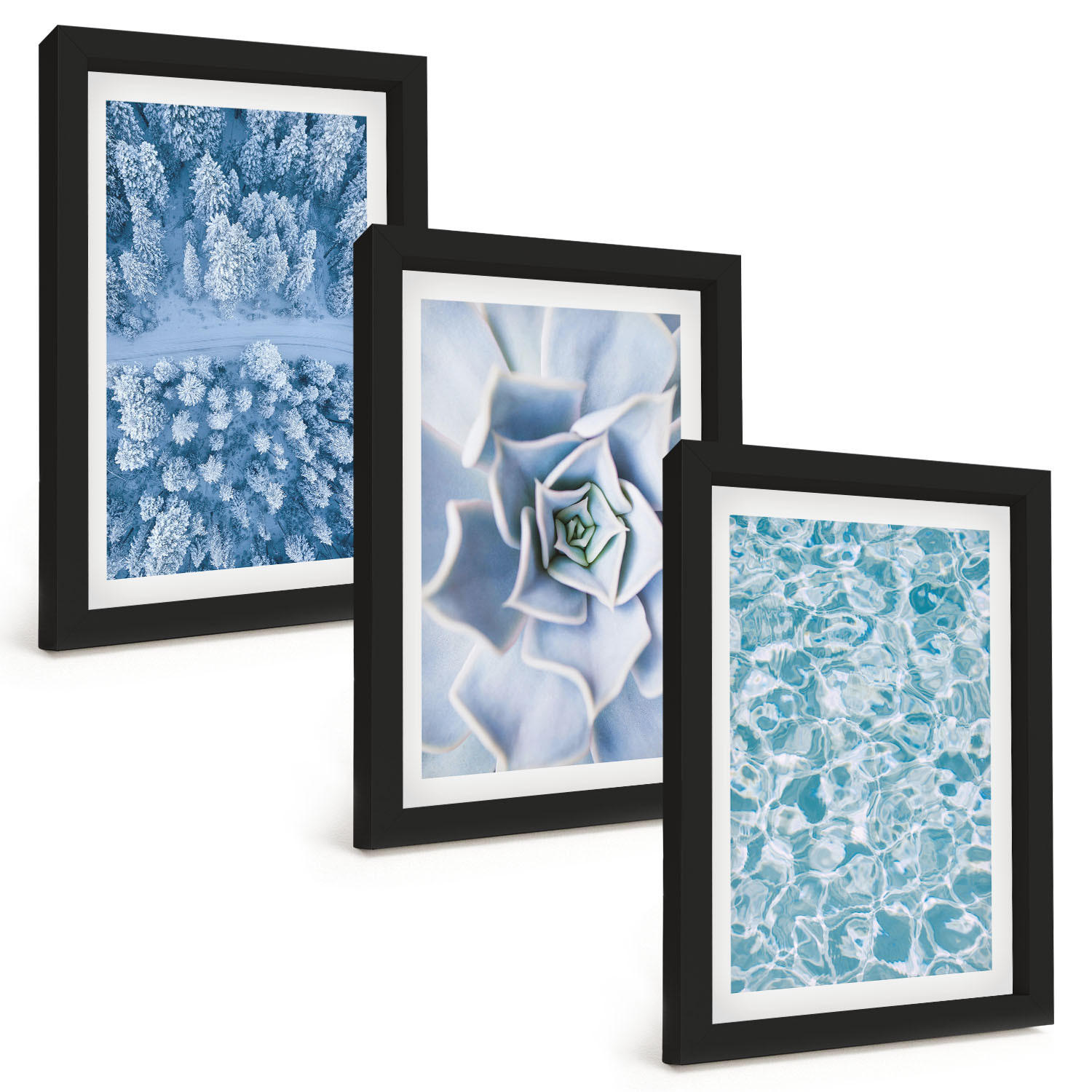 BILDER SET 3er Set - 20x30 cm Schwarzer Rahmen - Winterwald blaue Blume Wasser - Schwarz, Kunststoff (20/30cm) - TULUP
