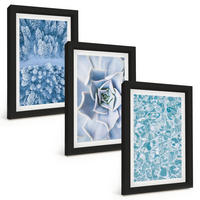 BILDER SET 3er Set - 20x30 cm Schwarzer Rahmen - Winterwald blaue Blume Wasser - Schwarz, Kunststoff (20/30cm) - TULUP