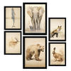 POSTER Set Mit 6 Tiere Vintage A3 & A4 Schwarzer Rahmen - Schwarz, Papier (29/3cm) - Nacnic