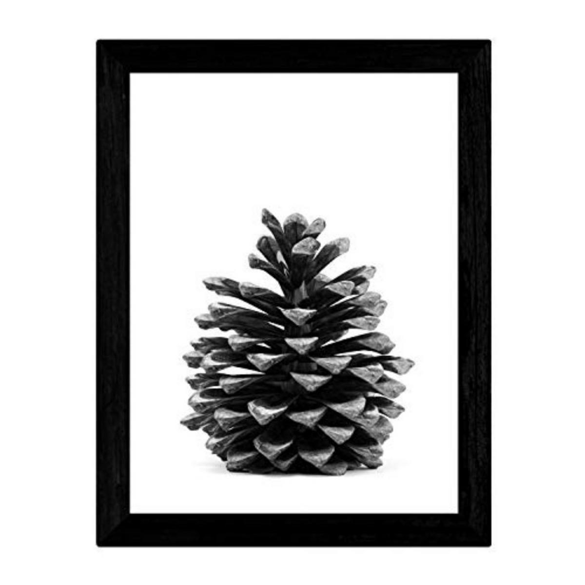 POSTER Pinecone – Schwarz-Weiß A3 Rahmenlos - Klar, Papier (29.7/5/42cm) - Nacnic