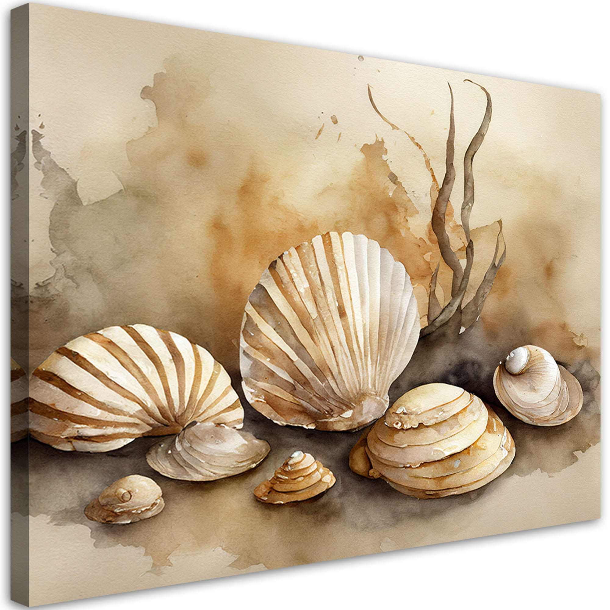 LEINWANDBILD Nautische Muschel Acryl 100x70cm - Beige, Textil (100/70cm) - Feeby