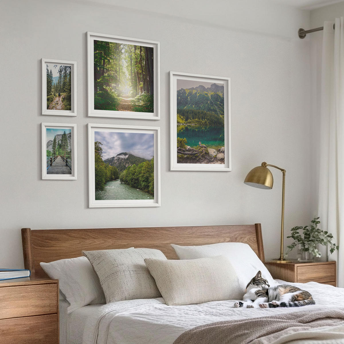 WANDBILDER 5er-Set - 50x50 cm & 20x30 cm & 40x60 cm Weißer Rahmen - Straße Wald Berge Hirsch Natur - Weiß, Kunststoff (40/60cm) - ArtPrintCave