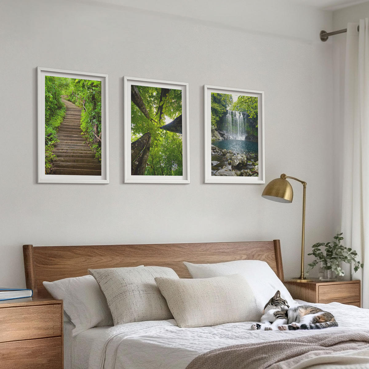BILDER SET 3er Set - 40x60 cm Weißer Rahmen - Pfad Wald Wasserfall Vegetation - Weiß, Kunststoff (40/60cm) - TULUP