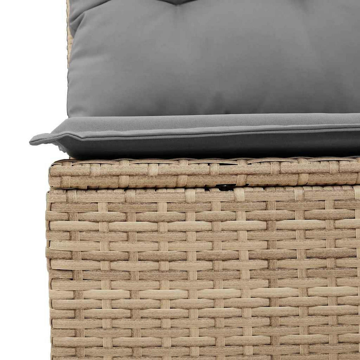 GARTENSESSEL Ohne Armlehnen Mit Kissen Beige Poly Rattan - Beige, Kunststoff (55/69/62cm) - vidaXL