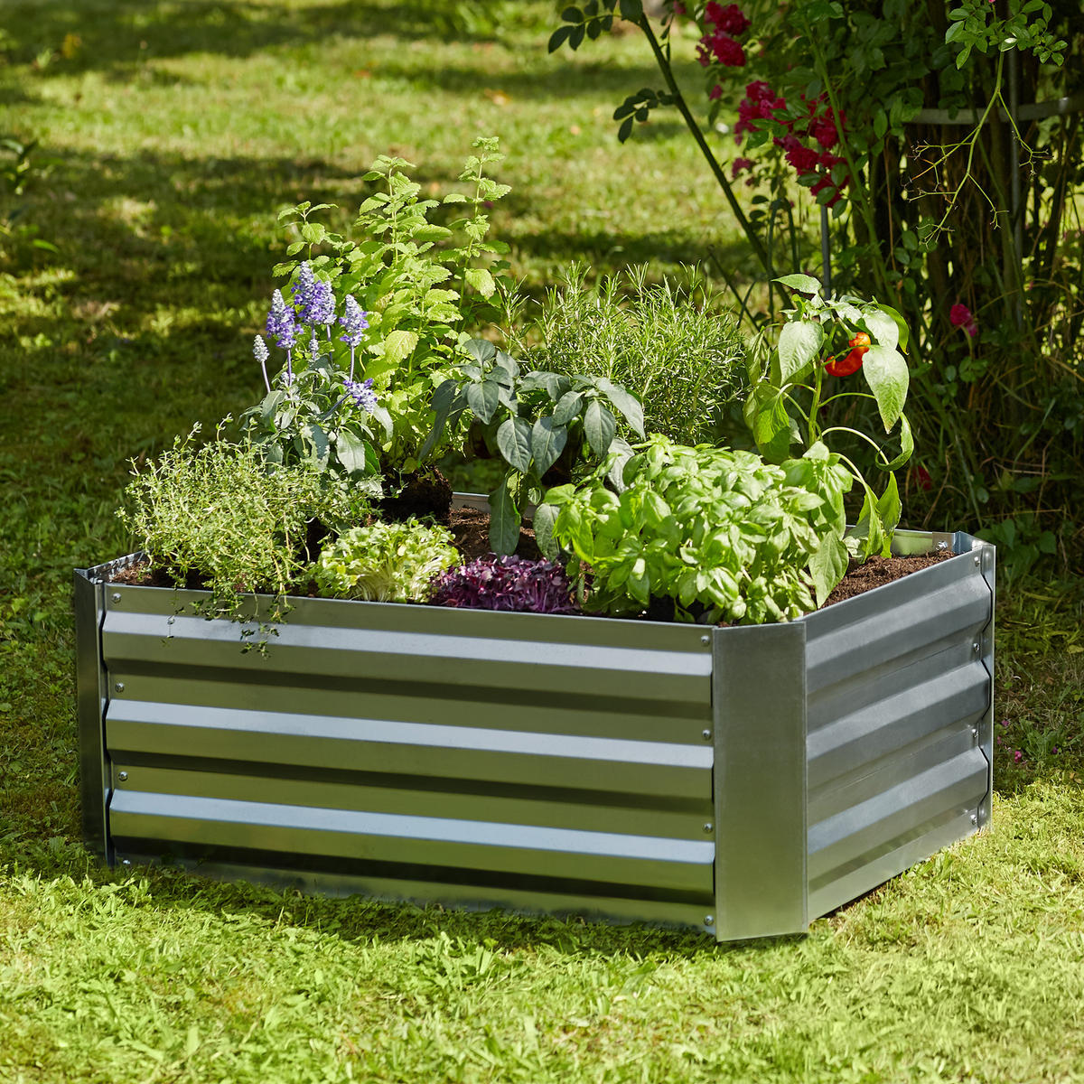 HOCHBEET Valeriana,80 x 60 x 30 cm,grau - Grau, Metall (60/30/80cm) - tectake