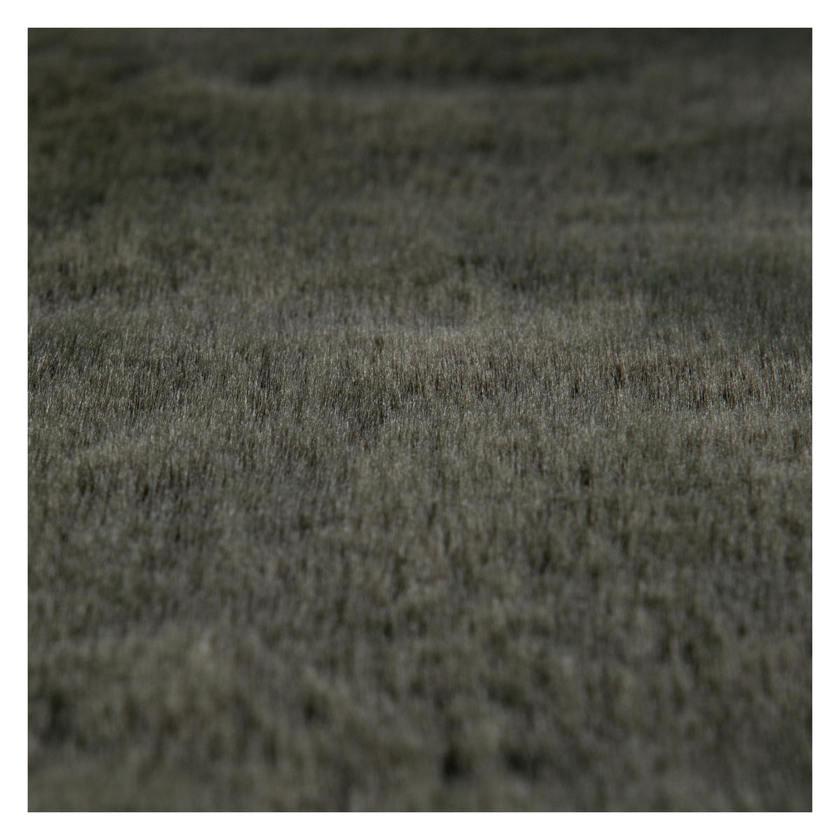 TEPPICH Eddy thymian 120 x 170 cm - Grün, Textil (120/170cm) - Vivaraise