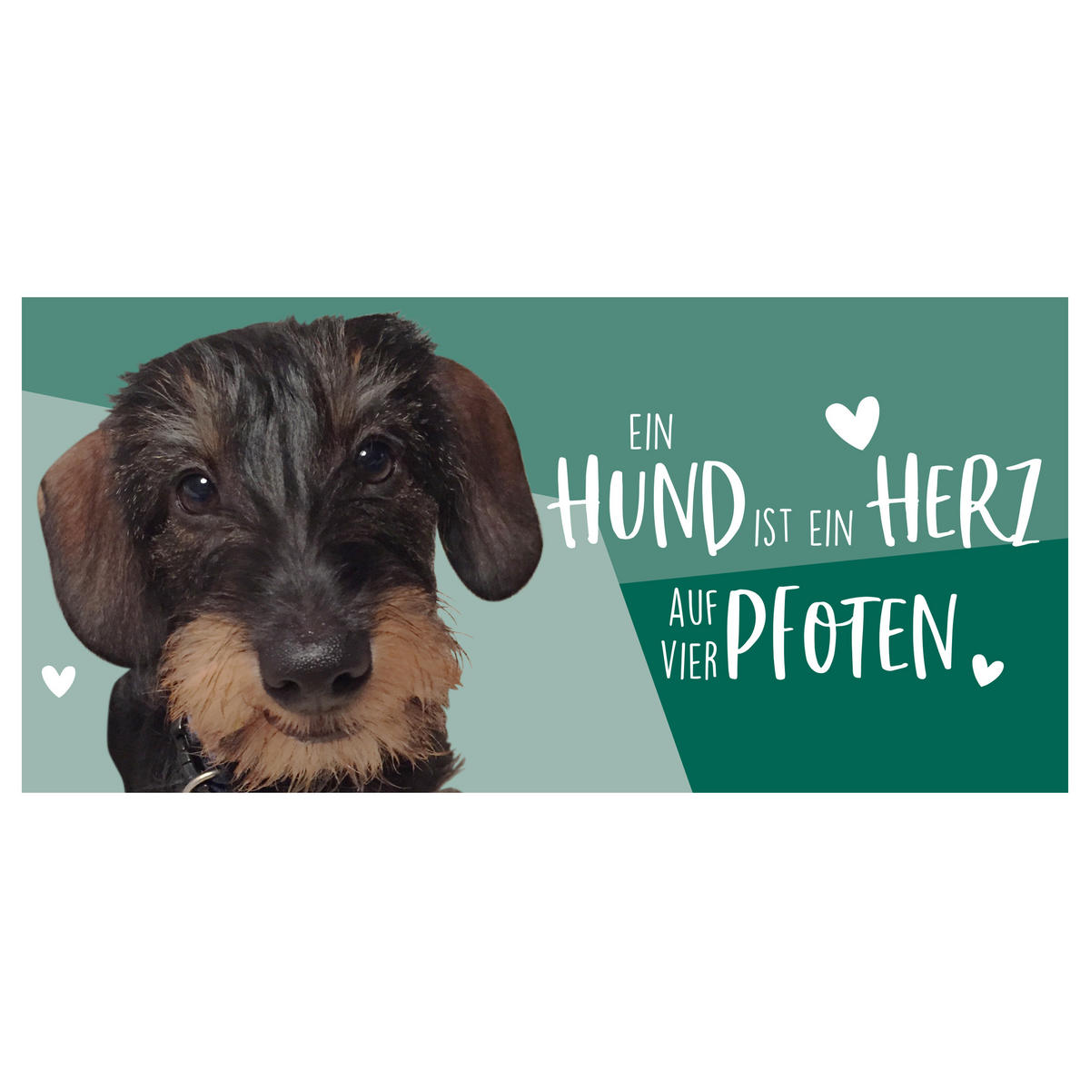 KAFFEEBECHER Dackel Ein Hund ist ein Herz auf vier Pfoten Grün 320 ml - Grün, Keramik (0.32L) - United Labels