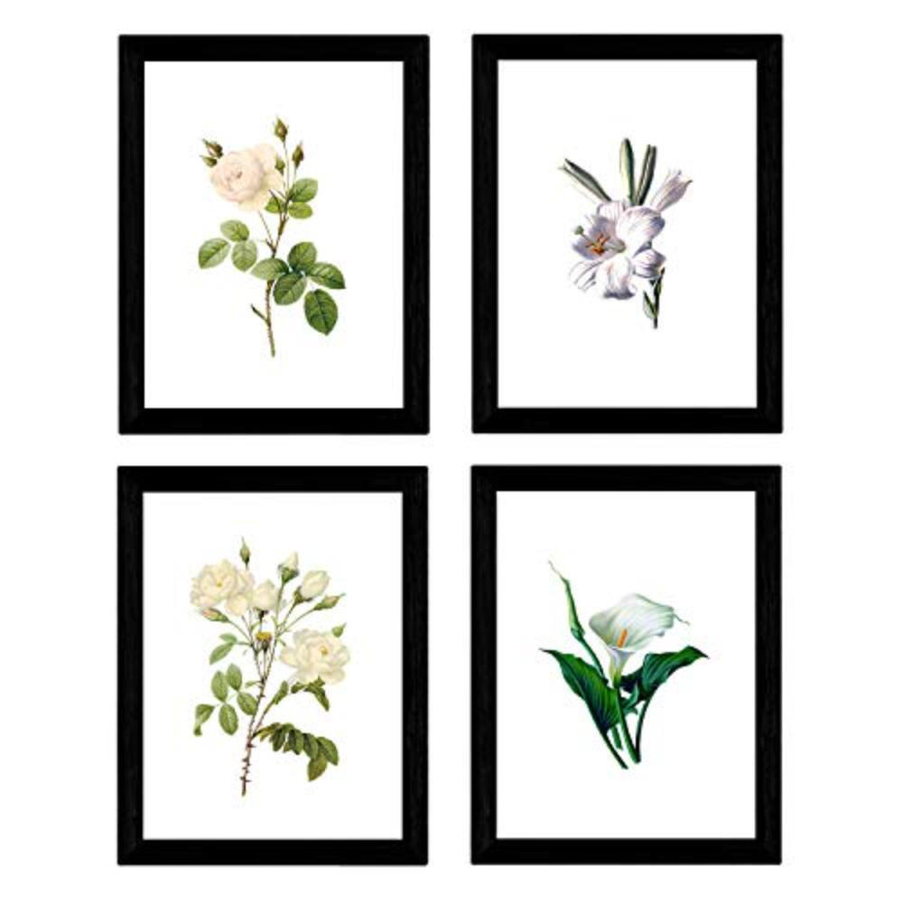 POSTER Set mit 4 Botanische Weiß Hintergrund helle Blumen A3 Rahmenlos - Klar, Papier (29.7/3cm) - Nacnic