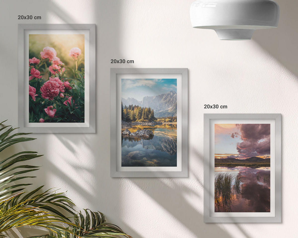 BILDER SET 3er Set - 20x30 cm Silberner Rahmen - Blumengarten Berge Wasser - Silberfarben, Kunststoff (20/30cm) - TULUP