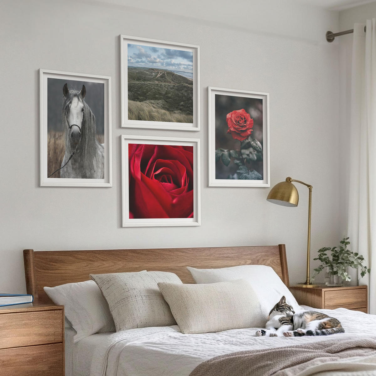 BILDER SET 4er Set - 50x50 cm & 40x60 cm Weißer Rahmen - Rote Rosen auf pferdegrauem Hintergrund - Weiß, Kunststoff (50/50cm) - TULUP