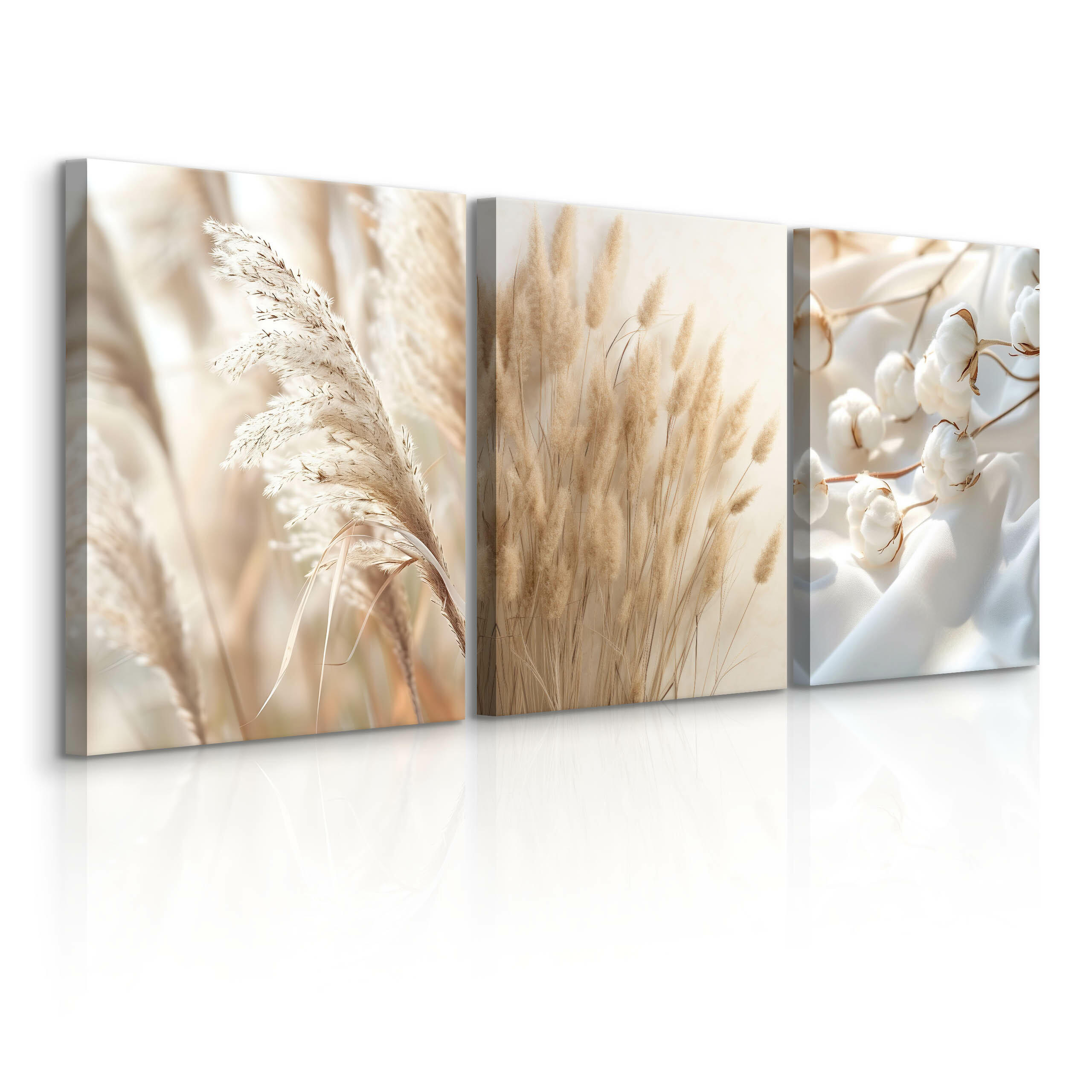 LEINWANDBILDER 3-es Set Pflanzen Natur - Beige/Weiß, Textil (90/40cm) - Muralo