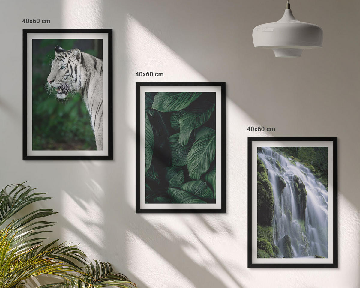BILDER SET 3er Set - 40x60 cm Schwarzer Rahmen - Wasserfall aus weißen Tigerblättern - Schwarz, Kunststoff (40/60cm) - TULUP