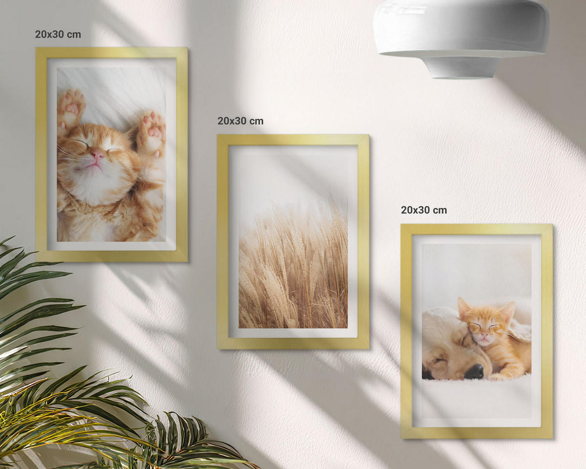 BILDER SET 3er Set - 20x30 cm Goldrahmen - Niedliche Tiere, Katzen, Hunde, Boho-Stil - Goldfarben, Kunststoff (20/30cm) - TULUP