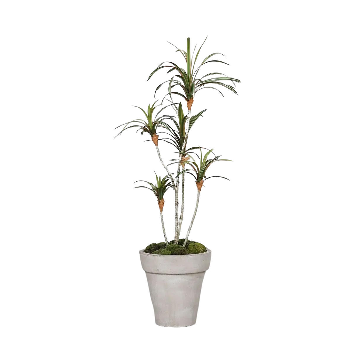 DRACHENBAUM Künstlicher Drachenbaum - Minor 100 cm - Grün, Kunststoff (100cm) - aplanta