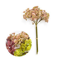 KUNSTBLUME Viridis Gipsputz Beige 30/30/30 cm Kunstoff - Beige, Kunststoff (30cm) - Mondex