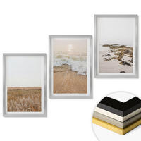 WANDBILDER 3er Set - 40x60 cm Silberner Rahmen - Strandwellen, Steine, Sommer - Silberfarben, Kunststoff (40/60cm) - ArtPrintCave