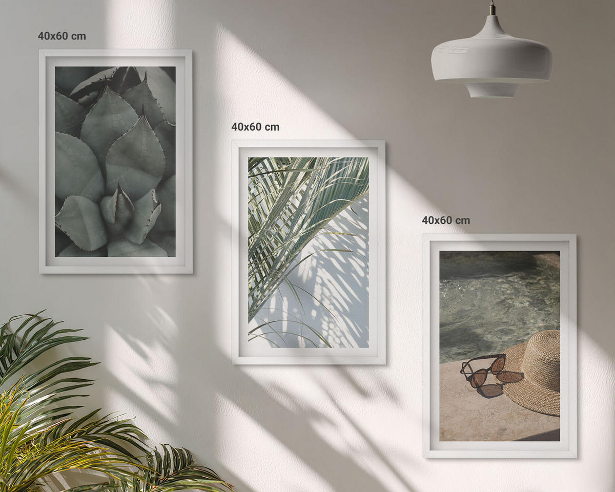 WANDBILDER 3er-Set - 40x60 cm Weißer Rahmen - Tropische Pflanzen für den Urlaub - Weiß, Kunststoff (40/60cm) - ArtPrintCave