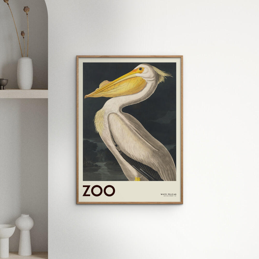POSTER A.P. Atelier - The Zoo Collection — White Pelican — Edt. 001 - Weiß, Papier (30/40/0.1cm) - Poster&Frame