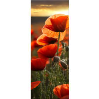 GLASBILD 30x80 cm Blumen rot - Rot, Glas (30/80cm) - artissimo