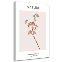 WANDBILD trockene blume natur - Beige, Textil (40/60cm) - Feeby