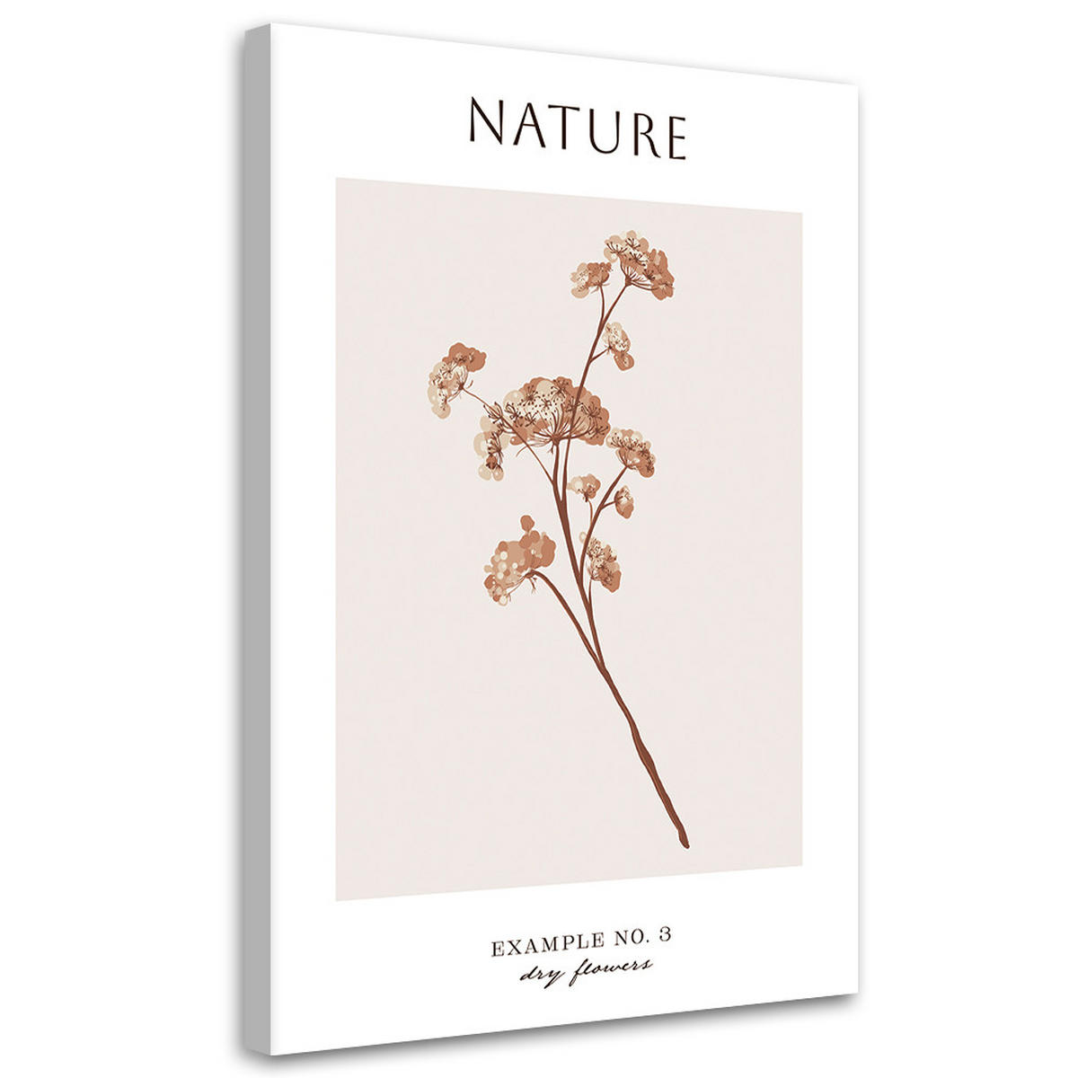 WANDBILD trockene blume natur - Beige, Textil (40/60cm) - Feeby