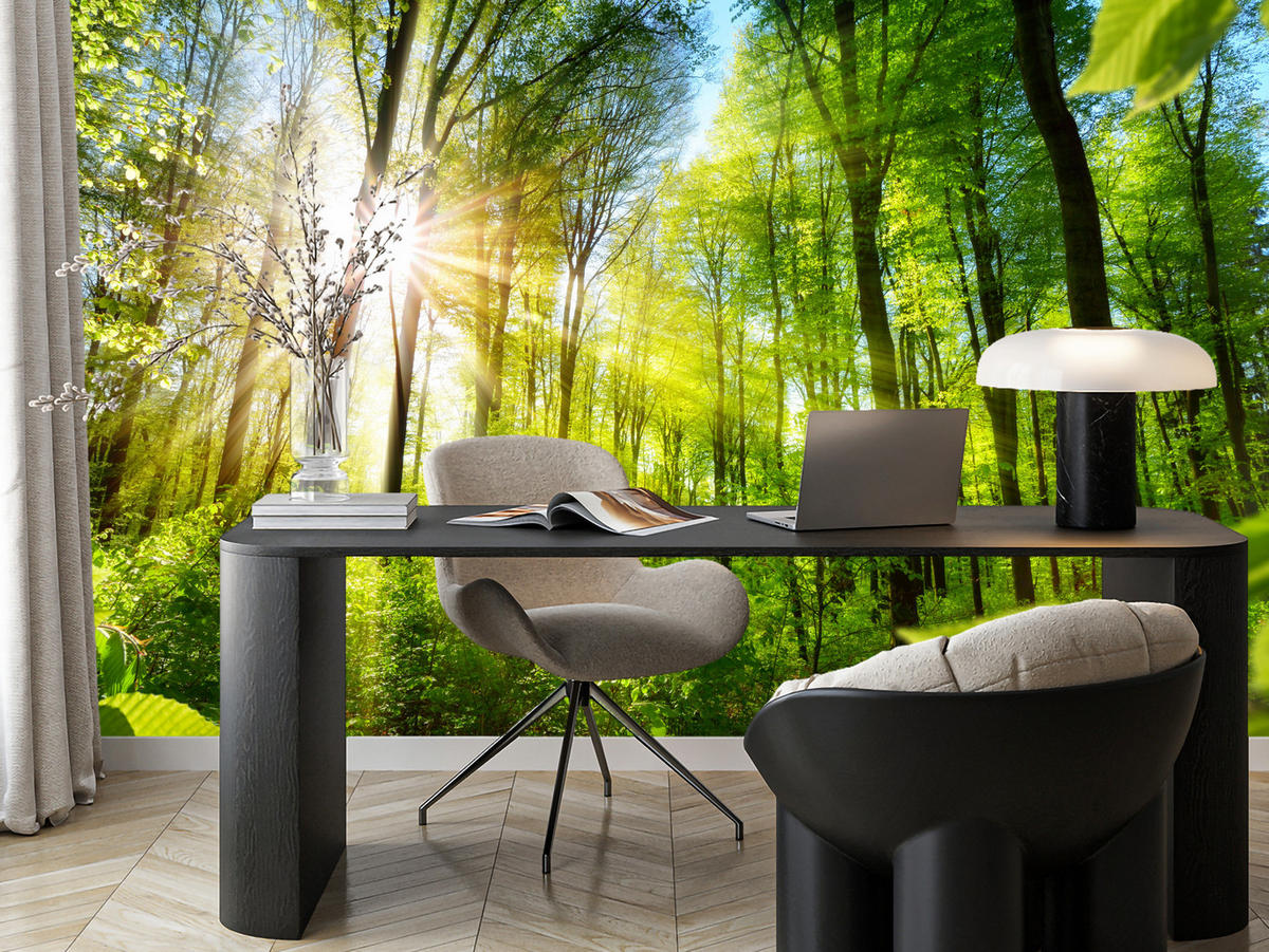 FOTOTAPETE für Wohnzimmer Sonnenaufgang zwischen Bäumen Wald 250x175 - Gelb/Grün, Papier (250/175cm) - Muralo