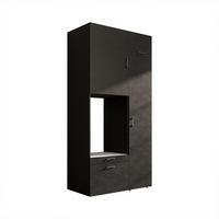WASCHMASCHINENSCHRANK Serie 2 112cm Breit, 240cm Hoch - Schwarz, Holzwerkstoff (112/240/67cm)
