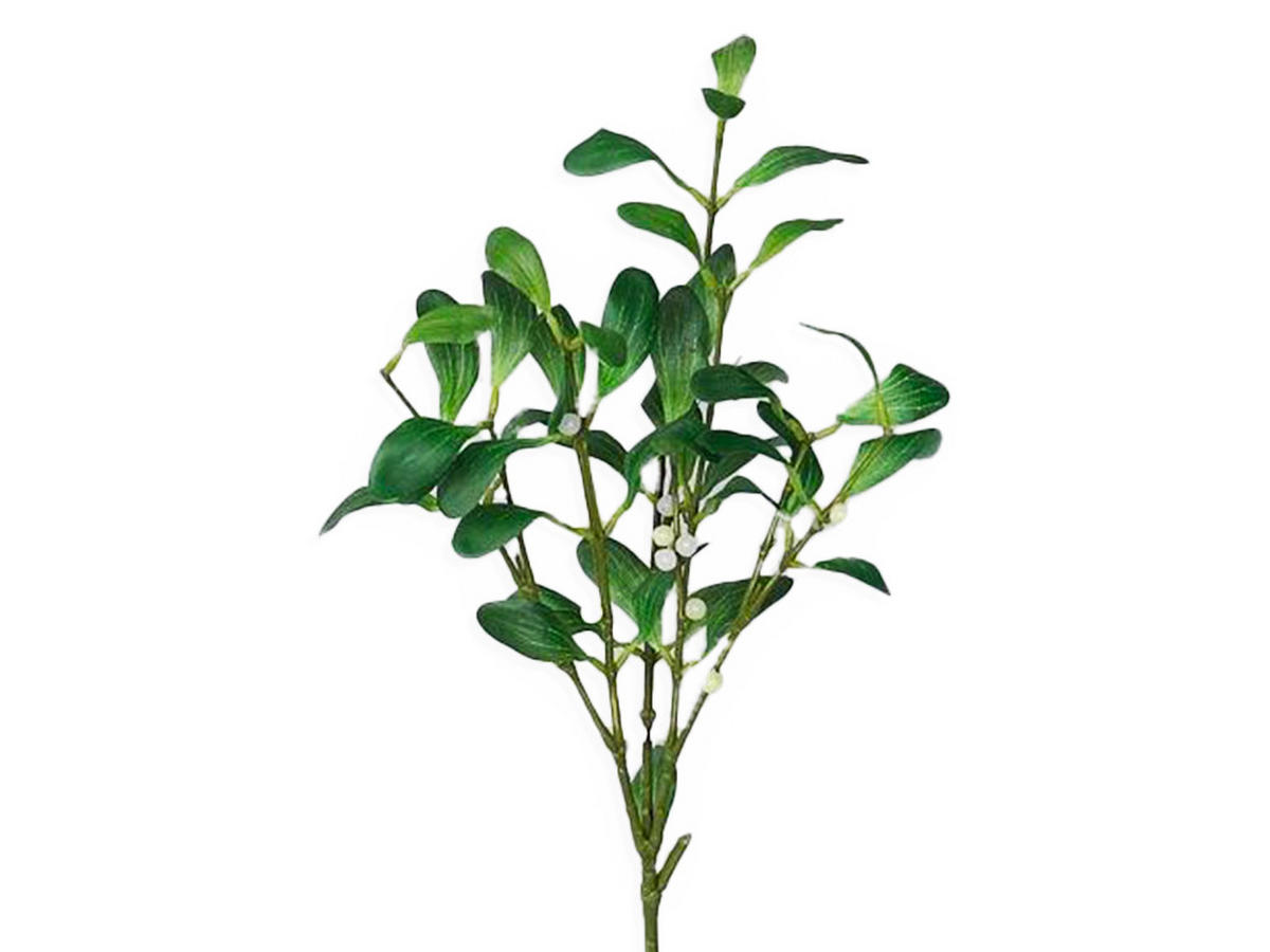 DEKOZWEIG Mistelzweig mit Beeren grün 53 cm - Grün, Kunststoff (10/53/10cm) - LAALU