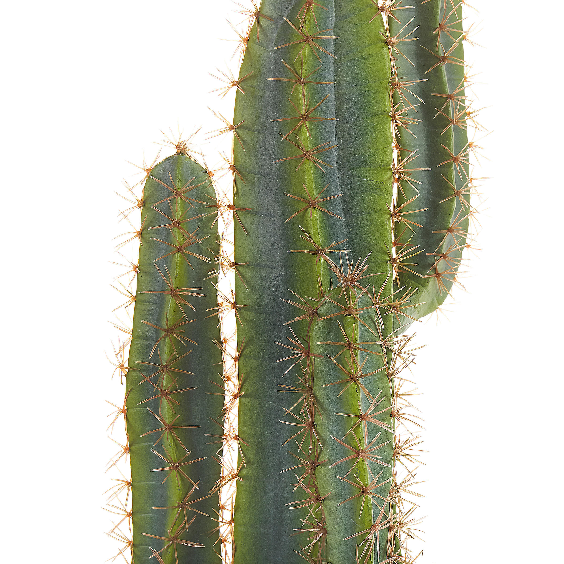 KUNSTPFLANZE Grün Cactus - Schwarz/Grün, Kunststoff (78cm) - Beliani