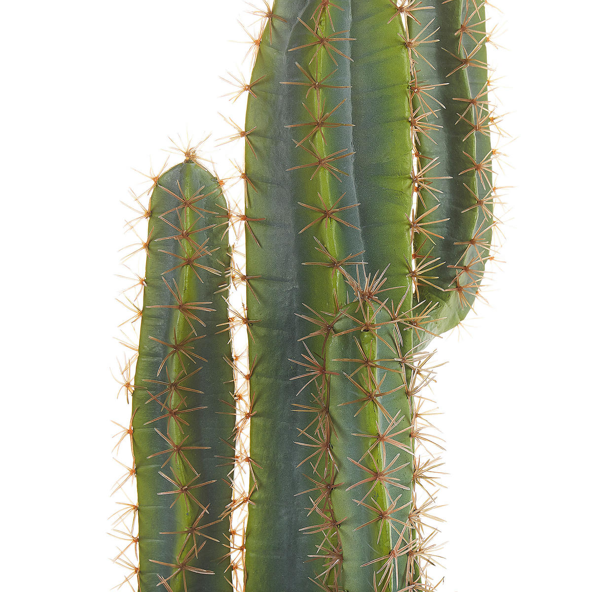 KUNSTPFLANZE Grün Cactus - Schwarz/Grün, Kunststoff (78cm) - Beliani