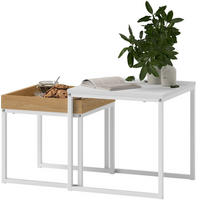 KONFERENČNÍ stolky 45/45/45 a 40/40/40 cm bílé z oceli s odnímatelným podnosem - bílá, kov (45/45/45cm) - OKWISH