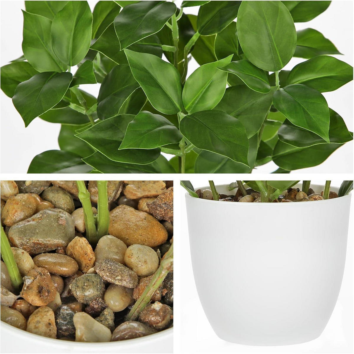 KUNSTPFLANZE Ficus 25 cm - Grün, Kunststoff (25cm)