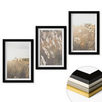 WANDBILDER 3er-Set - 20x30 cm Schwarzer Rahmen - Landschaftsgrasblumen Wärme - Schwarz, Kunststoff (20/30cm) - ArtPrintCave