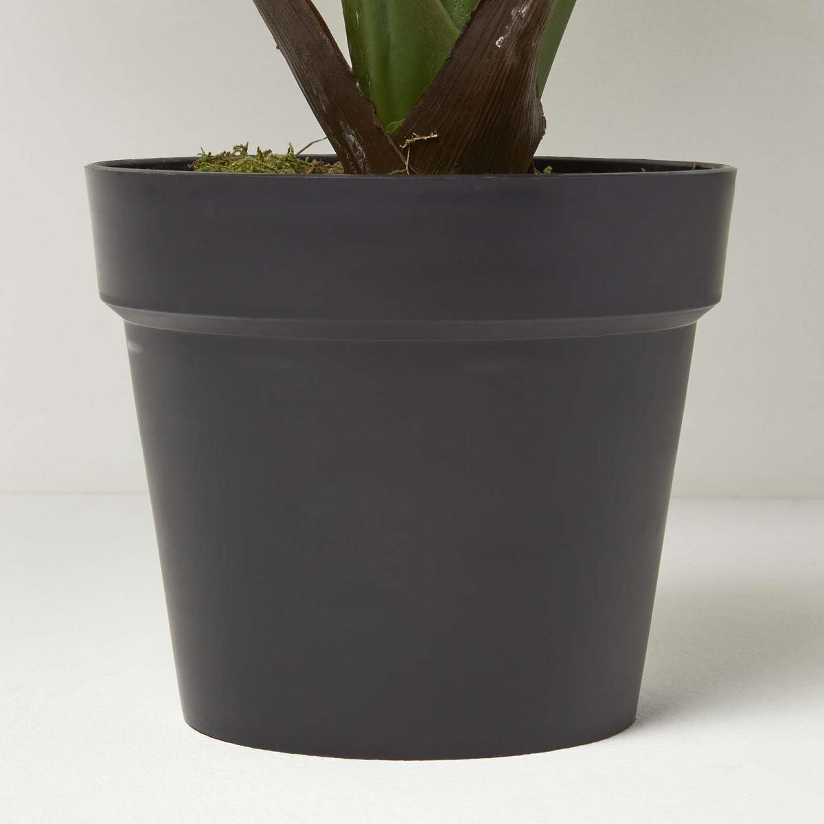 KUNSTPFLANZE Fächerpalme, 80 cm - Grün, Kunststoff (80cm) - Homescapes