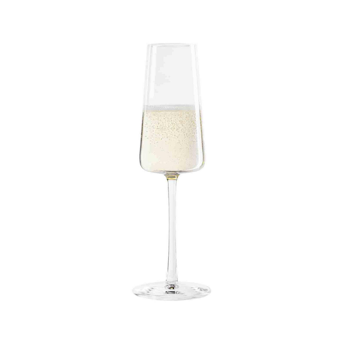 CHAMPAGNERGLÄSER Power transparent 240 ml 12er Set - Transparent, Glas (0.24L) - Stölzle Lausitz