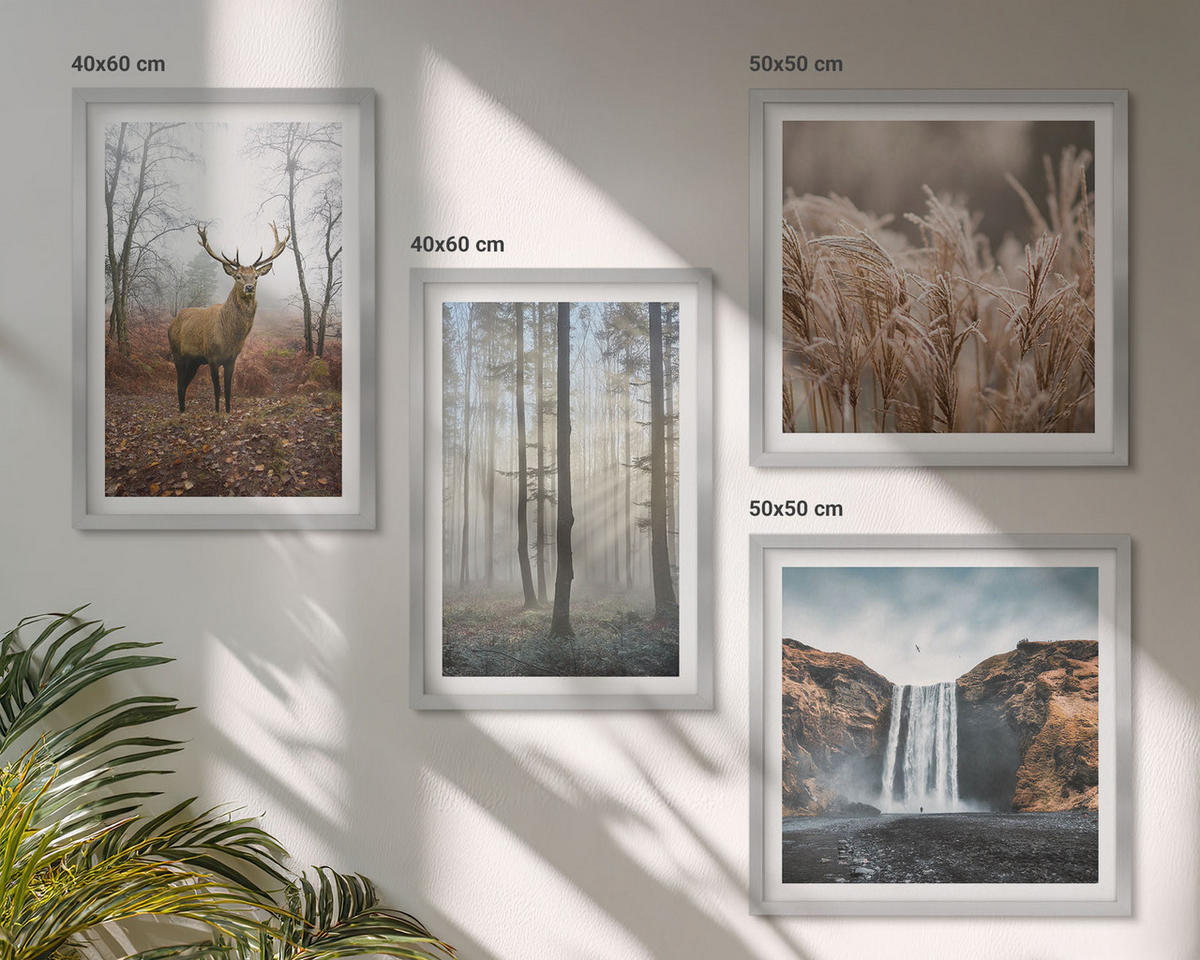 WANDBILDER 4er Set - 50x50 cm & 40x60 cm Silberner Rahmen - Waldlandschaften der Wildnis - Silberfarben, Kunststoff (50/50cm) - ArtPrintCave