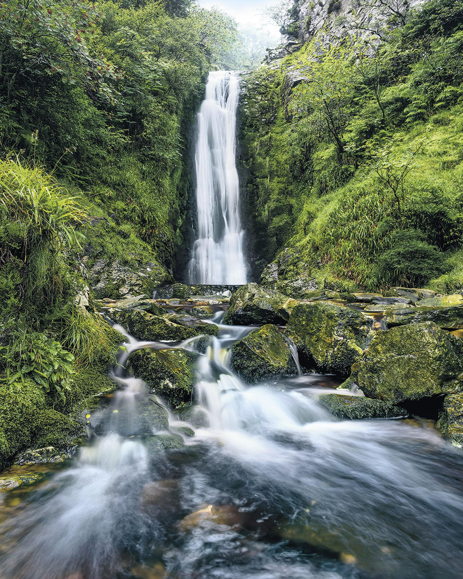 FOTOTAPETE Wasserfall 200 x 250 cm - Grün, Papier (200/250cm) - Sanders & Sanders
