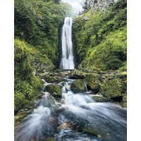 FOTOTAPETE Wasserfall 200 x 250 cm - Grün, Papier (200/250cm) - Sanders & Sanders