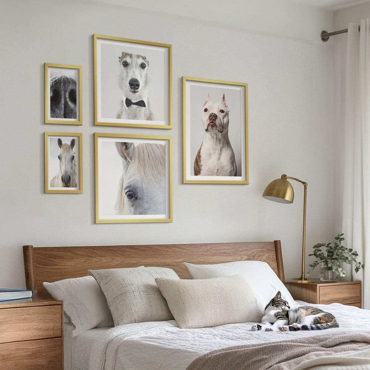 WANDBILDER 5er Set - 50x50 cm & 20x30 cm & 40x60 cm Goldrahmen - Elegante Porträts von Hunden und Pferden - Goldfarben, Kunststoff (40/60cm) - ArtPrintCave