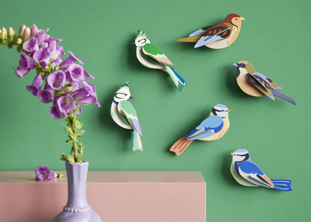 WANDSKULPTUR Bunt 4,5/14 cm - Multicolor, Wellpappe (4.5/14/5cm) - Studio Roof