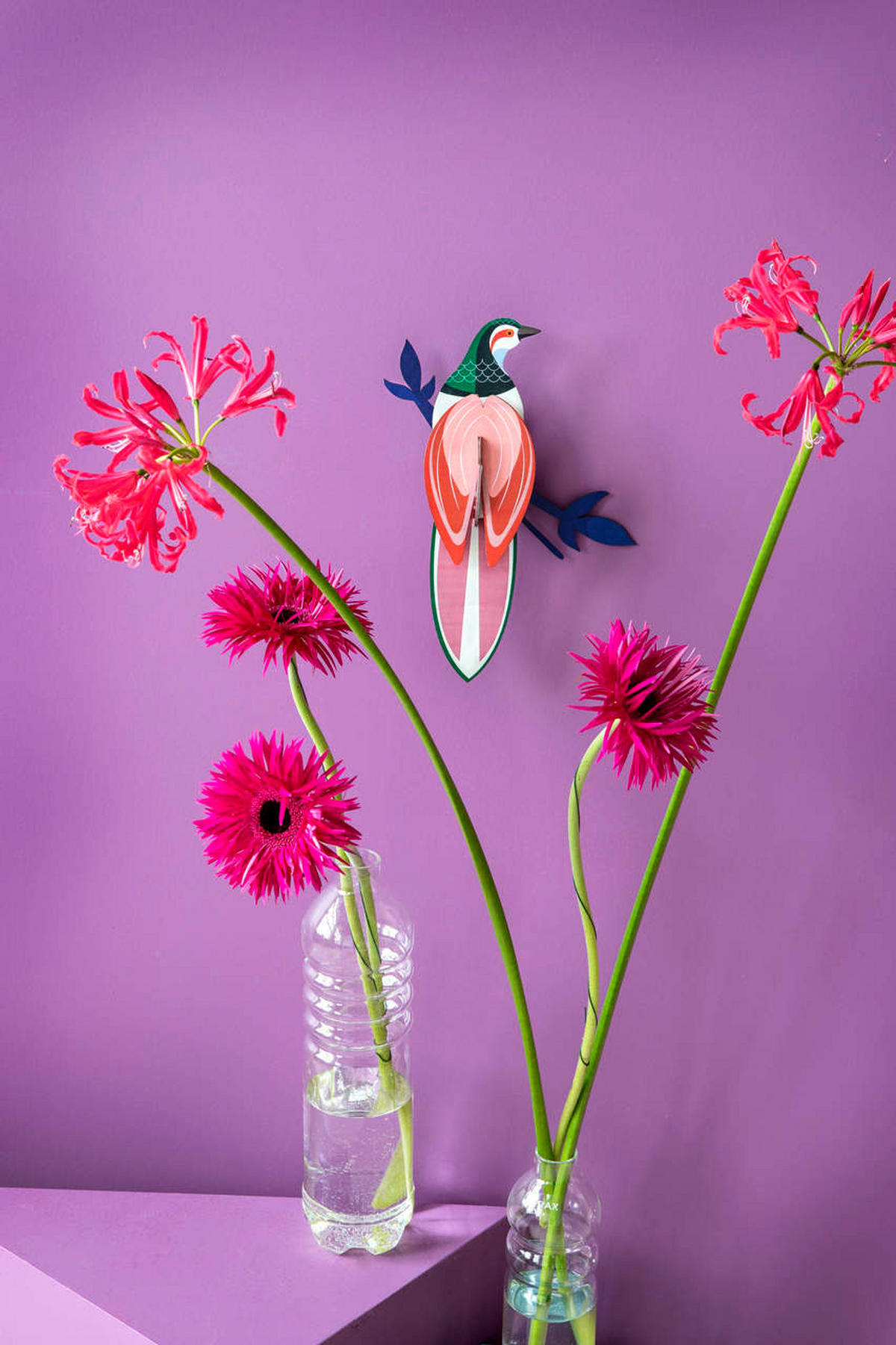 WANDDEKO Tropenvogel-Paradies 23/7 cm - Pink/Grün, Wellpappe (23/7/27cm) - KUNSTLOFT
